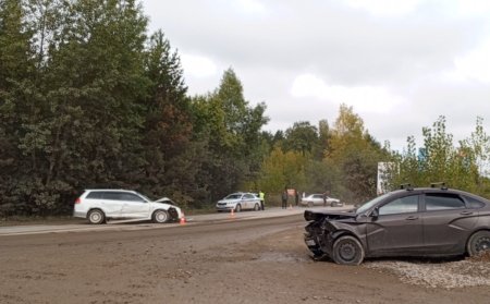 В Березовском районе сотрудники Госавтоинспекции устанавливают обстоятельства ДТП с шестью пострадавшими